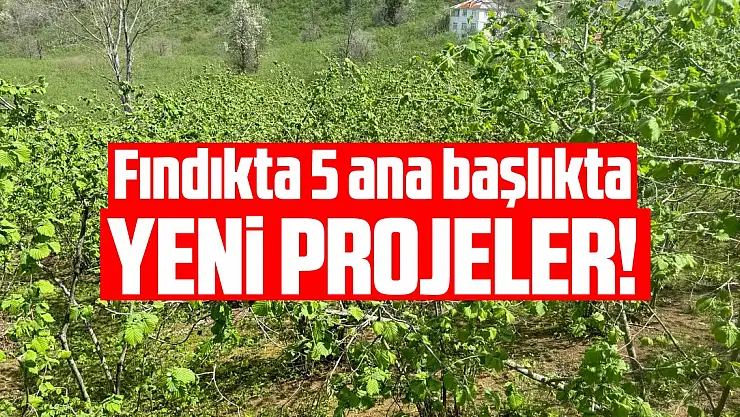 Fındık tarımıyla ilgili 5 ana başlıkta yeni projeler hazırlayacak