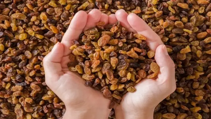 Kuru üzüm ihracatında 500 milyon doları aşmayı hedefliyor