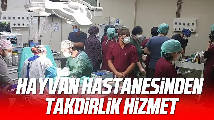 Hayvan hastanesinden takdirlik hizmet