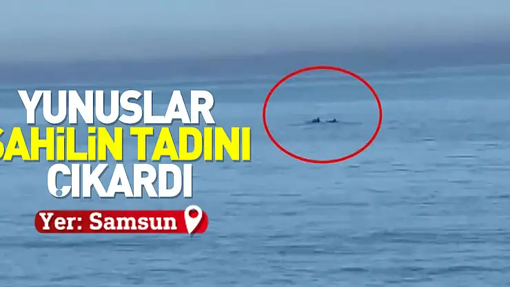 YUNUSLAR SAHİLİN TADINI ÇIKARDI