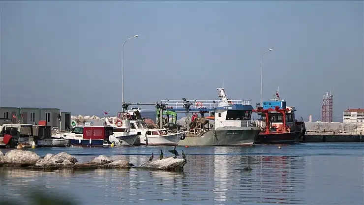 Balıkçılar bu yıl da hamsi ile kazanç sağladı
