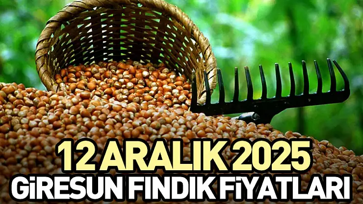 12 Aralık Giresun Fındık Fiyatları
