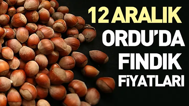 12 Aralık Ordu'da Fındık Fiyatları | Üretici Beklentiyi Yükseltti