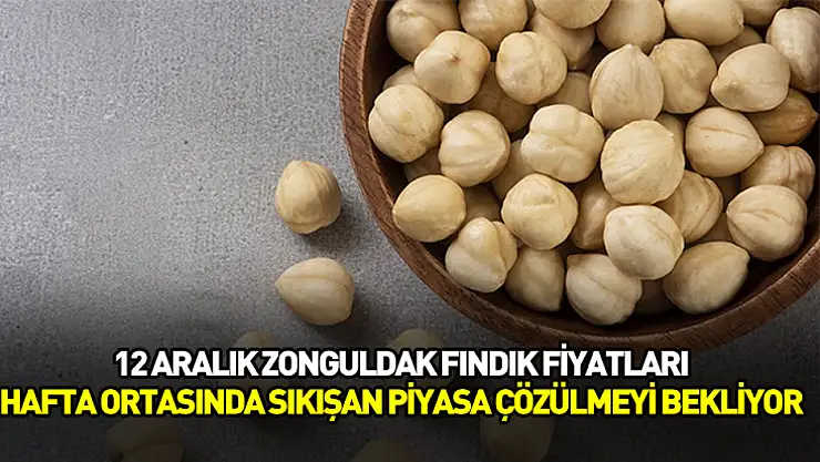 12 Aralık Zonguldak Fındık Fiyatları | Hafta Ortasında Sıkışan Piyasa Çözülmeyi Bekliyor