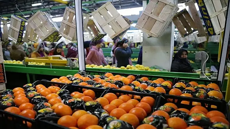 İhracatta ilk çeyrek rekoru