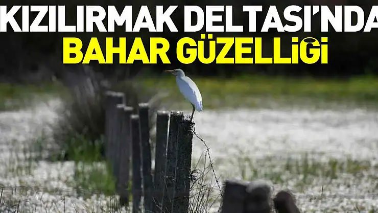 Ramazan Bayramı tatilinde yaklaşık 7 bin 500 kişi ziyaret etti