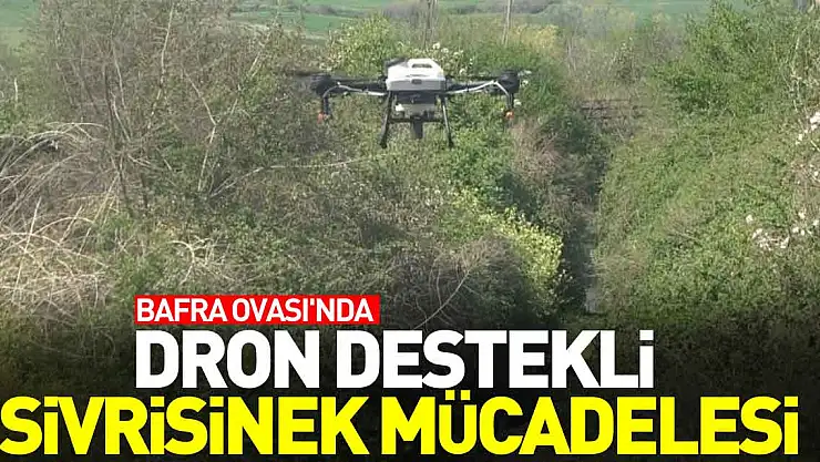 Dron destekli sivrisinek mücadelesi