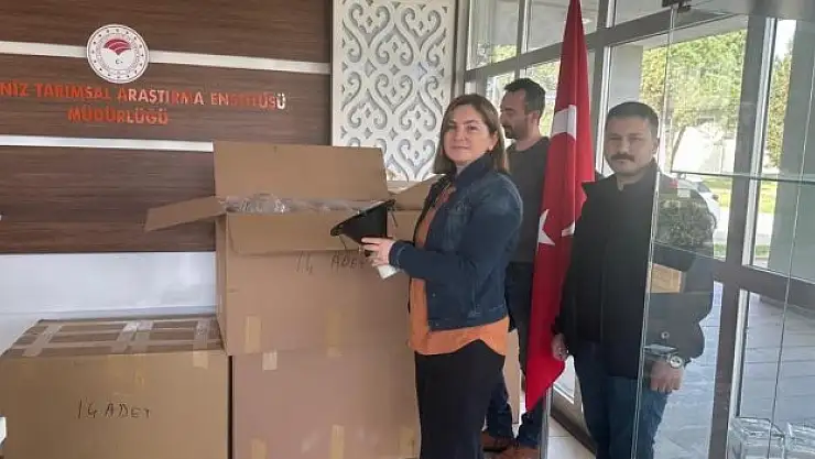 'Kahverengi kokarca' ile mücadele: 250 tuzak dağıtıldı