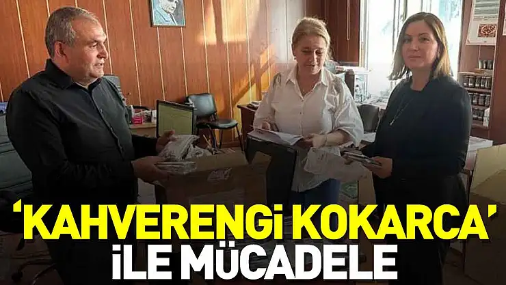 'kahverengi kokarca' ile mücadele