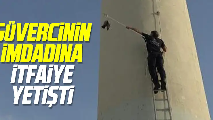 Güvercinin imdadına itfaiye yetişti