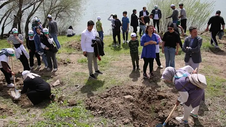 270 çam ağacı toprakla buluştu