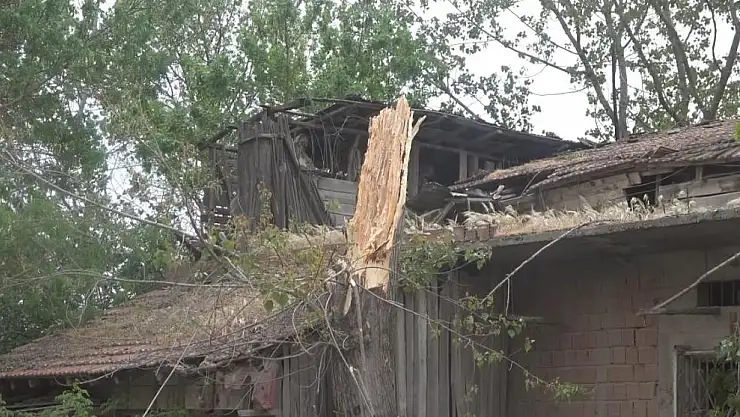 Fırtına Ağaçları Kökünden Kopardı