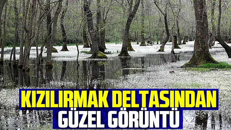 KIZILIRMAK DELTASINDAN GÜZEL GÖRÜNTÜ