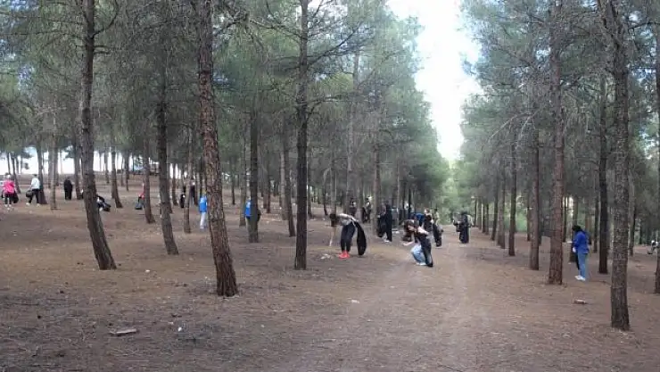 Vezirköprü'de çevre temizliği