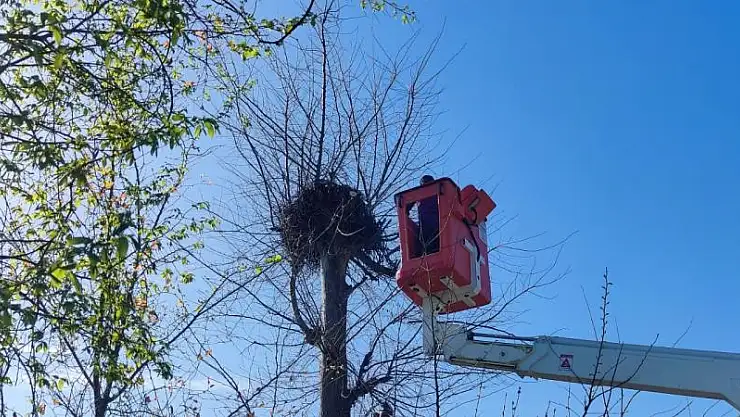 Leylek için seferber oldular