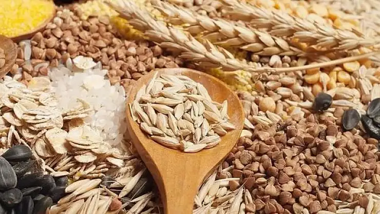 hububat ve bakliyat ihracatı yüzde 7 arttı