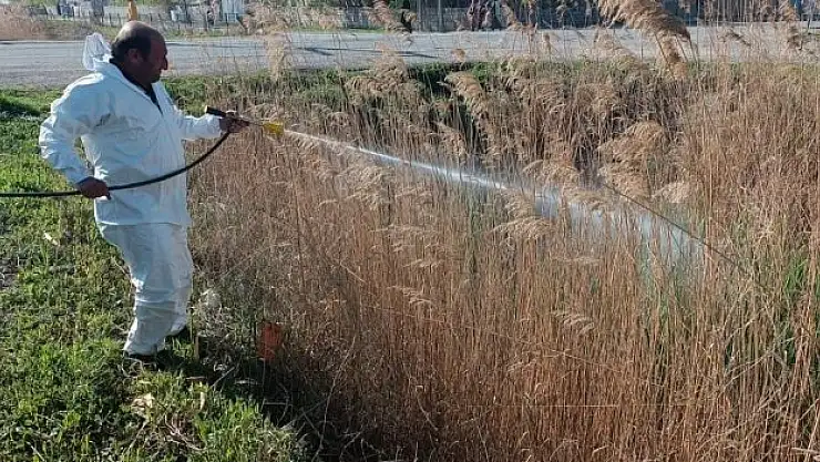 Iğrdır'da ilaçlama çalışması