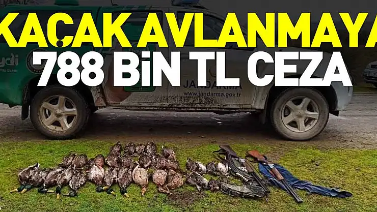 Kaçak avlanmaya 788 bin TL ceza