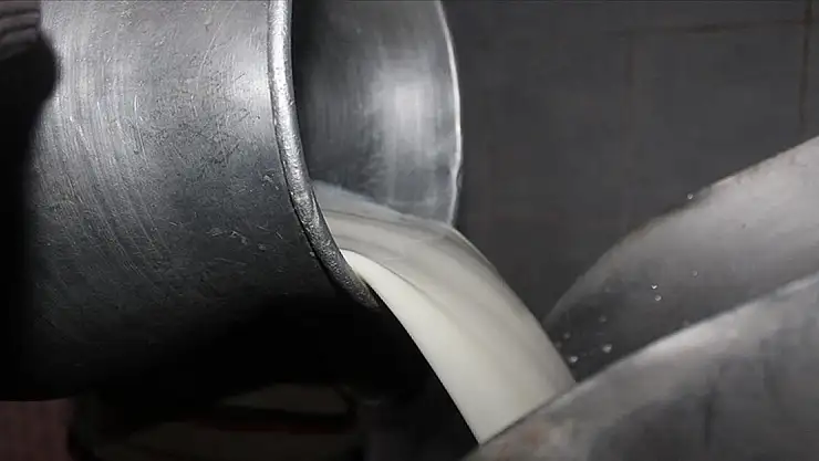 21,5 milyon ton çiğ süt üretildi