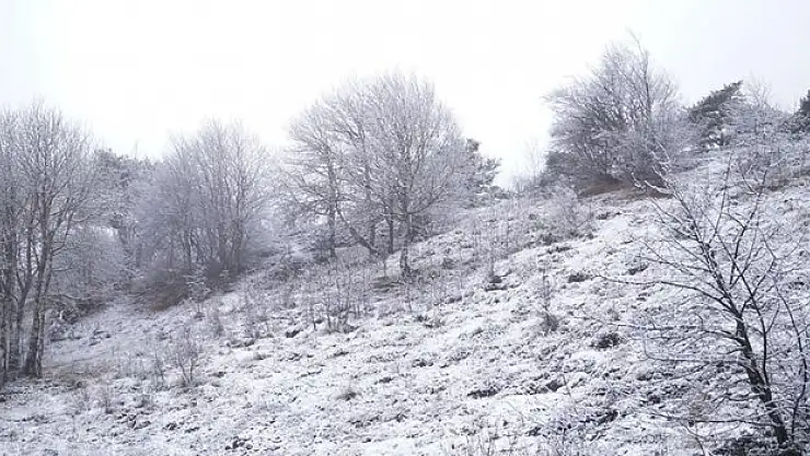 Tokat'ta yüksek kesimlerde kar etkili oldu