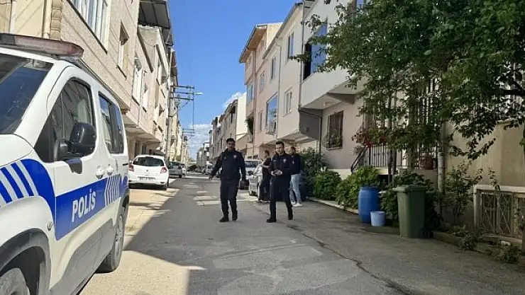 Sahipsiz köpeklerin saldırısına uğrayan 3 çocuktan 2'si yaralandı