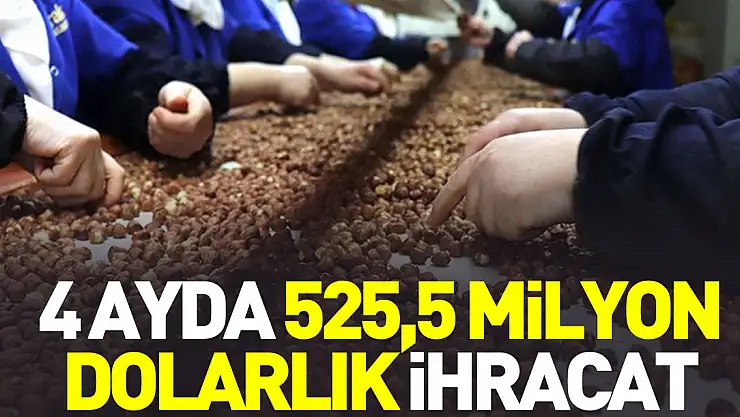 Doğu Karadeniz'den 525,5 milyon dolarlık ihracat