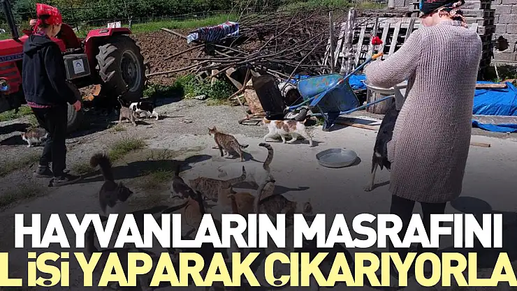 Hayvanların masrafını el işi yaparak çıkarıyorlar