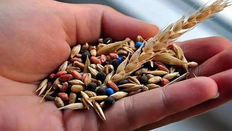 İhracatçı pozisyon devam ediyor