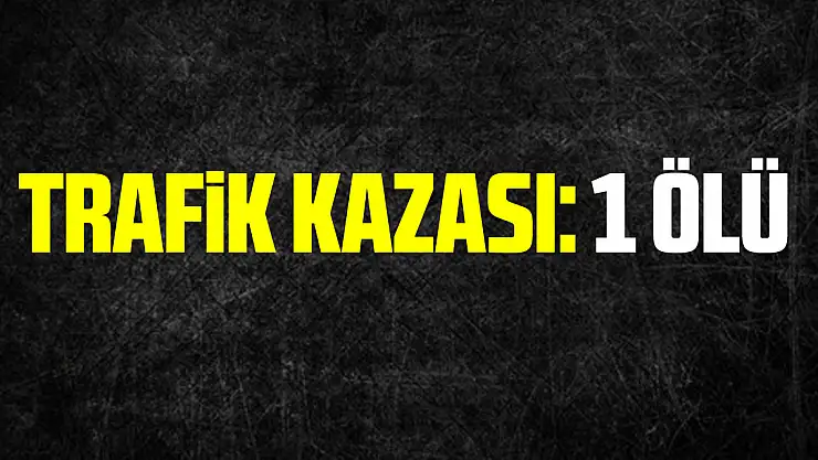 trafik kazası: 1 ölü