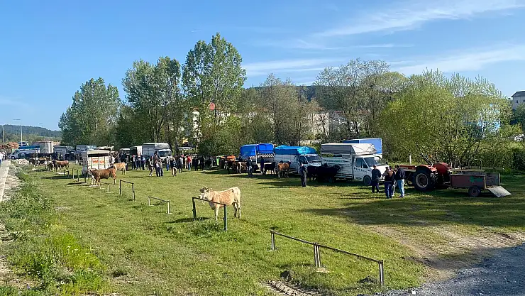 Kurbanlık satışları başladı