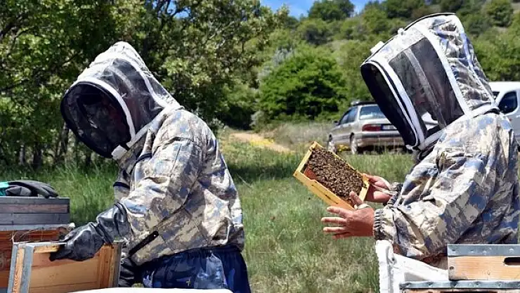 Arıcılar 1744 rakımlı Dinek Dağı'nda devlet desteğiyle bal üretiyor
