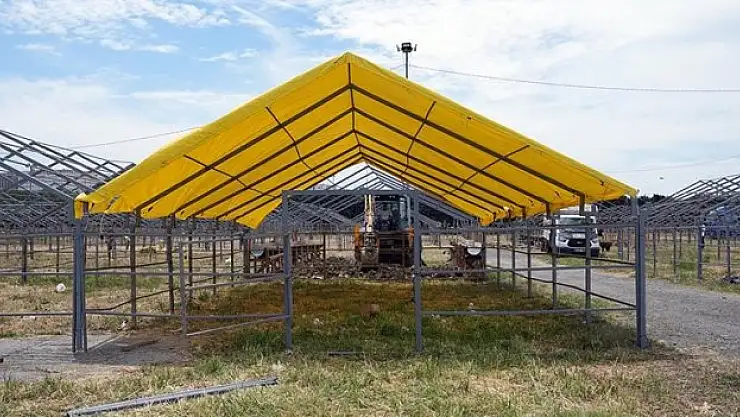 Pazarlar, kurbanlıkları bekliyor