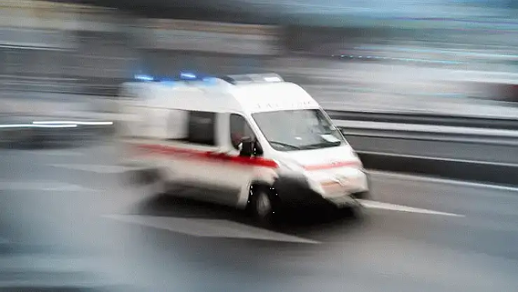 Köpeğin saldırdığı kişi yaralandı