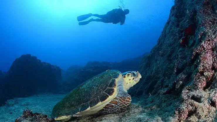 Dalyan Kanalı havadan ve su altından görüntülendi