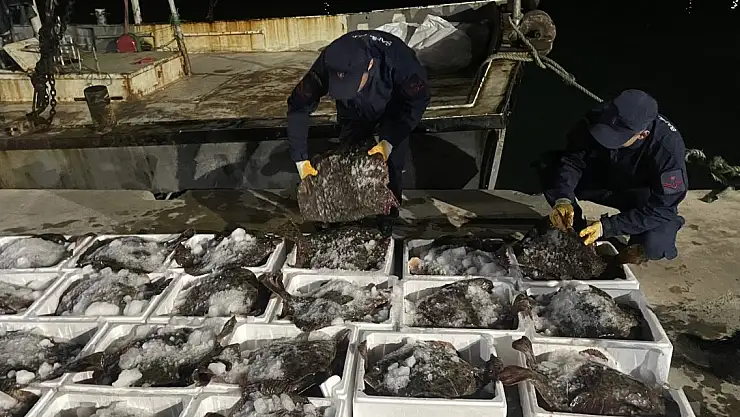 Kaçak avlanan kalkan balığı ele geçirildi