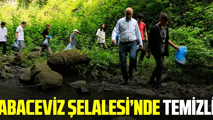 Öğrencilerden Kabaceviz Şelalesi'nde temizlik