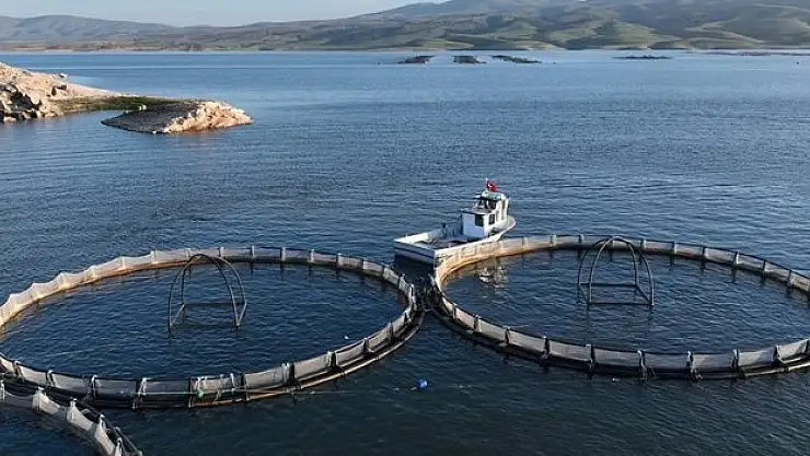 Kayseri'den yılda 5 bin tona yakın Türk somonu ihraç ediliyor