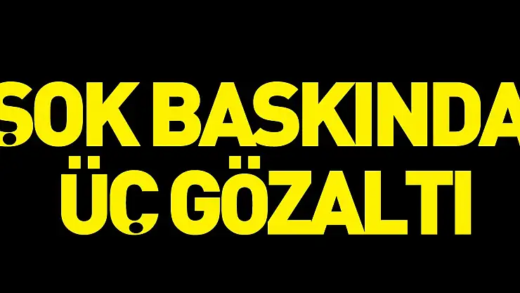Şok Baskında Üç Gözaltı