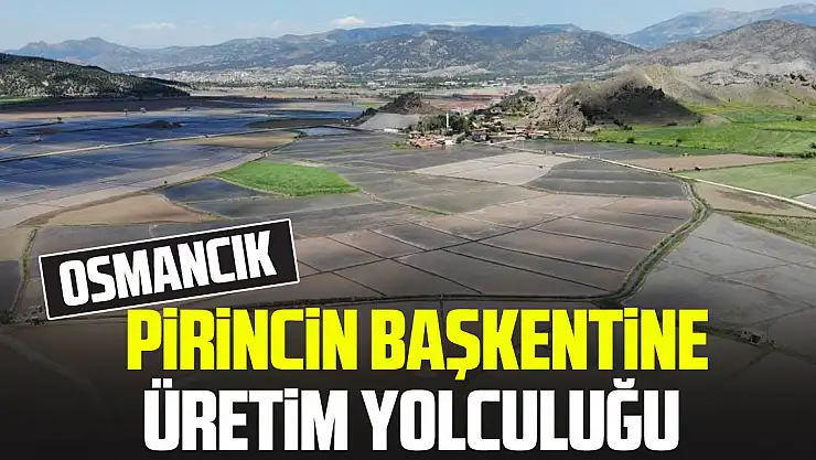 PİRİNCİN BAŞKENTİNE ÜRETİM YOLCULUĞU