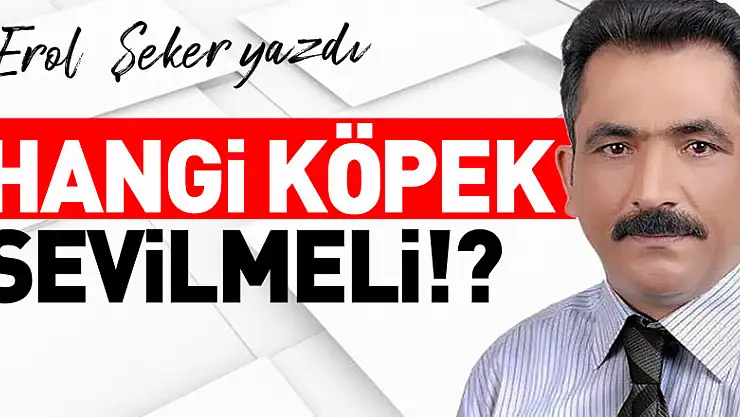 HANGİ KÖPEK SEVİLMELİ!?