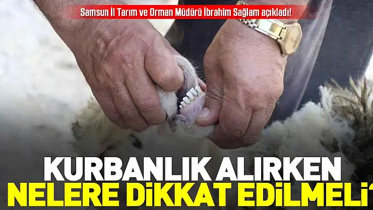 KURBANLIK ALIRKEN NELERE DİKKAT EDİLMELİ?