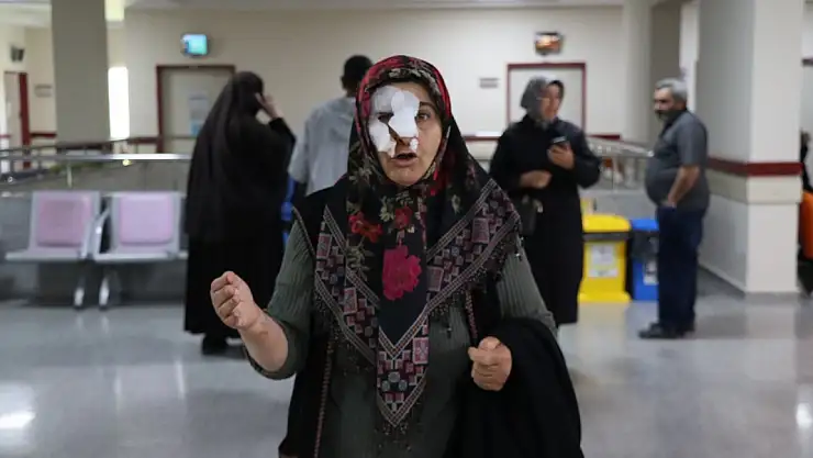 sokak köpekleri dehşet saçtı