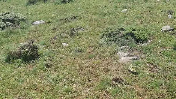 Yıldırım çarpan kişi öldü