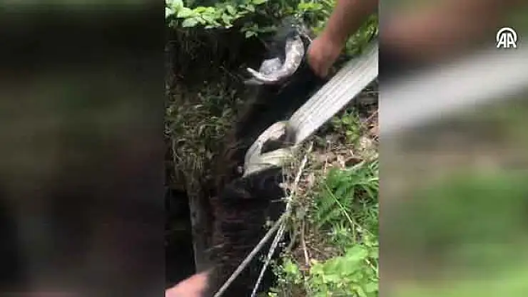 17 metrelik kuyuda bulundu