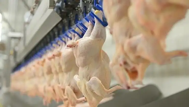 Beyaz et sektöründeki 4 firmaya 1,2 milyar lira rekabet cezası