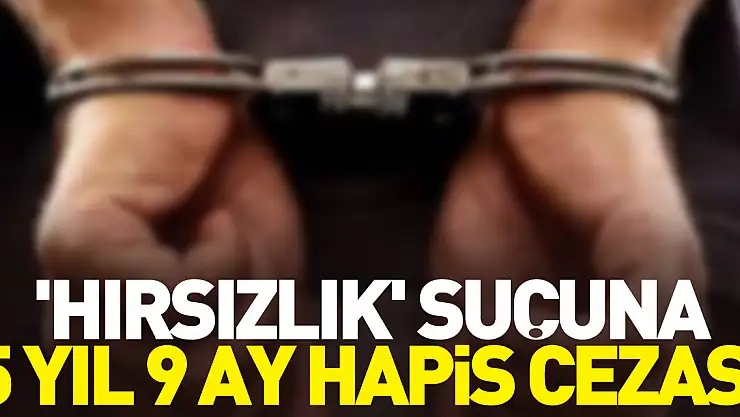 5 yıl 9 ay hapis cezası