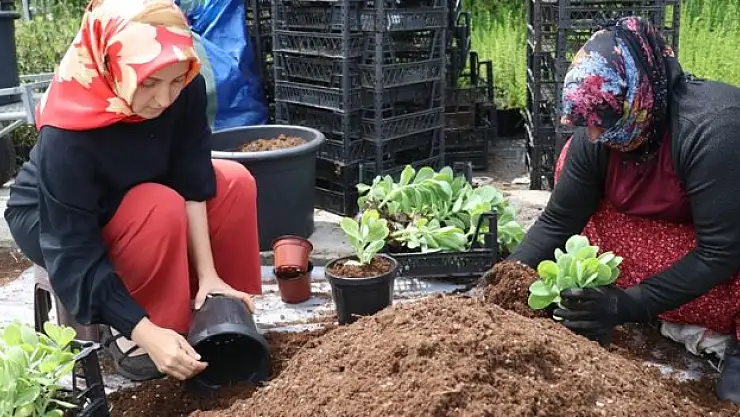 Kız kardeşler 15 ülkeye ihracat yapıyor