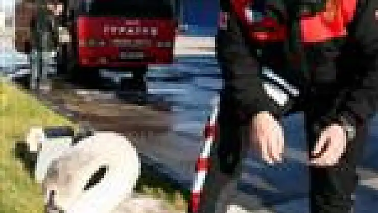 Zorunlu İniş Yapan Kuğu Evlendirilecek