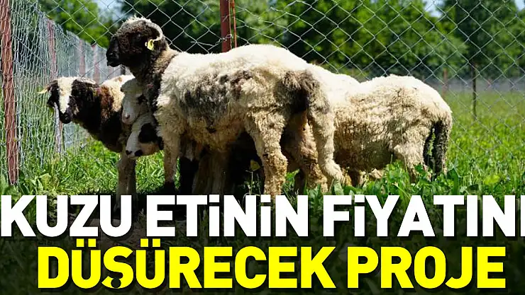 ET FİYATINI DÜŞÜRECEK PROJE