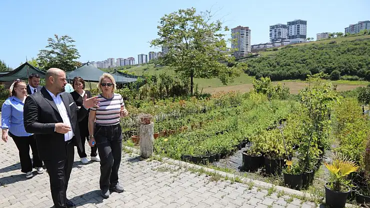 seracılık faaliyetleri